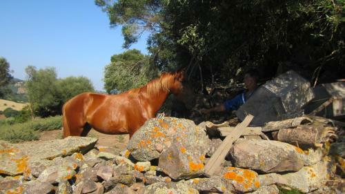 Agroturismo Genna E Corte