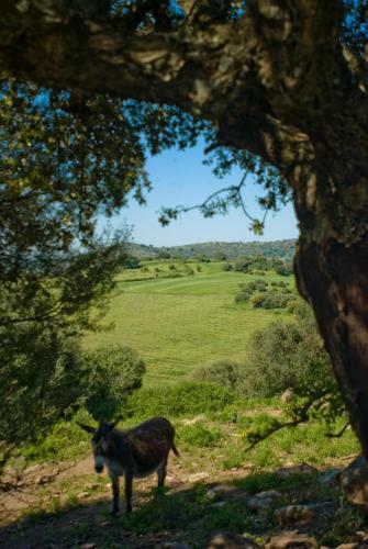 Agroturismo Genna E Corte