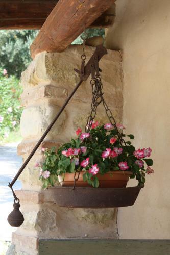 Apartamento Agriturismo I Cigni