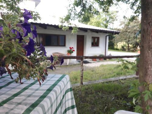 Bed & Breakfast Gavi/alice Open Space