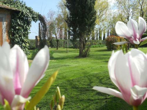 Agroturismo Podere Le Manzinaie