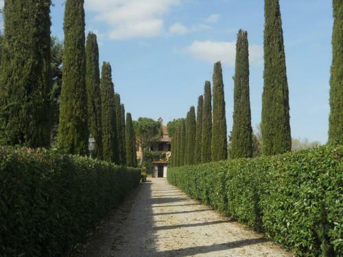 Agroturismo Podere Le Manzinaie