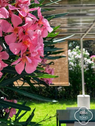 Bed & Breakfast La Casa Del Tono