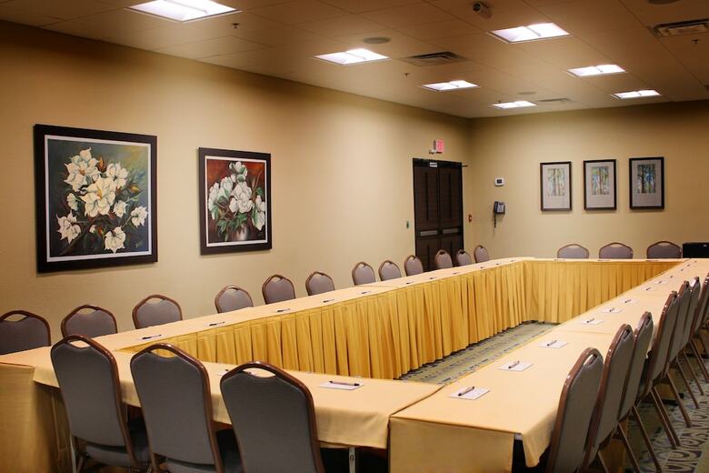 Hotel Rosen Inn At Pointe Orlando