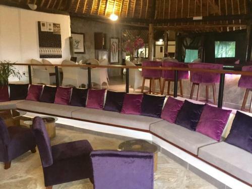 Lion Hill Safari Lodge