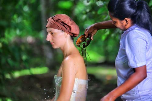 Albergue Cinnamon Grove Ayurveda Home