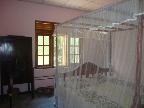 Mama Daisy's Homestay Rekawa.