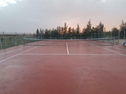 Agroturismo Salma Palm's Ferme D'h�tes