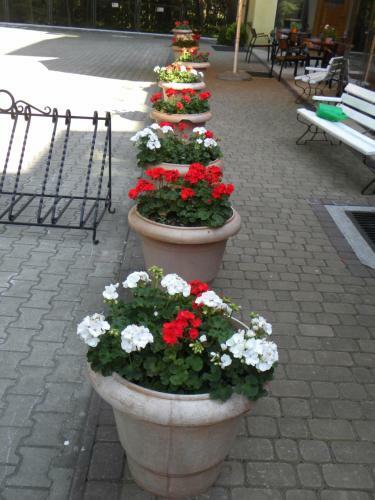 Hotel Okulski Grand Rozewie