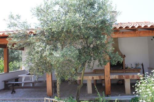 Quinta De S�o Jo�o
