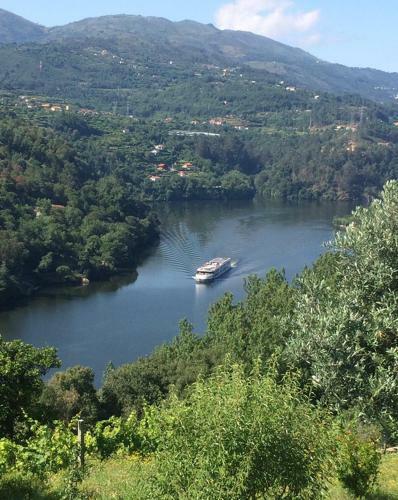 Agroturismo Pedacinho De Mundo Douro