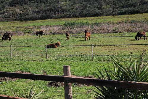 Agroturismo Burro Ville