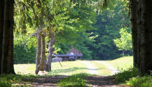 Dobrica Hunting Lodge