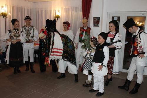 Hostal Pensiunea Alpina