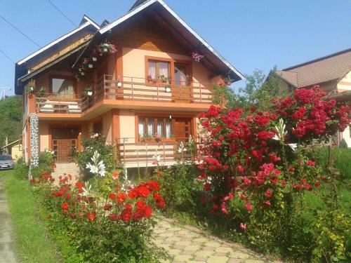 Hostal Pensiunea Nopti De Vara