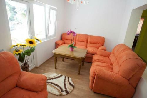 Hostal Pensiunea Badea Gheorghe Agro