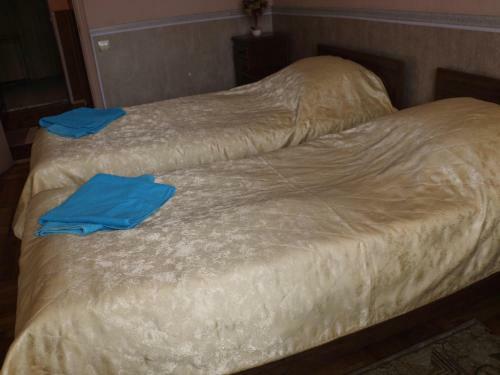 Posada Pansionat Orlinoe Gnezdo
