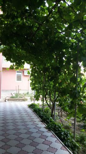 Hotel Barhat