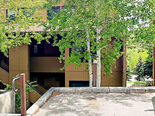 Apartamento Condo In Snowmass Village
