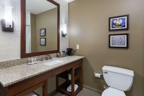 Hotel Comfort Inn & Suites Zachary