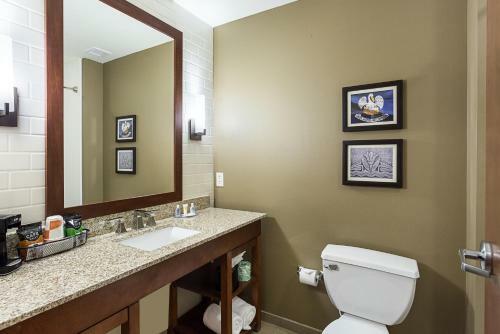 Hotel Comfort Inn & Suites Zachary