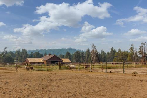 Circle 4 Ranch 31 | Discover Sunriver
