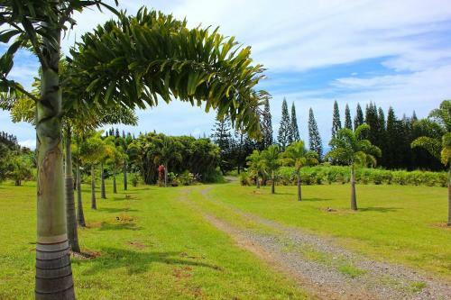 Hostal Mahana House Country Inn