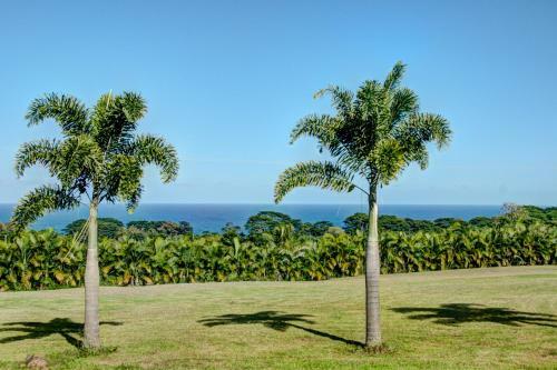 Hostal Mahana House Country Inn