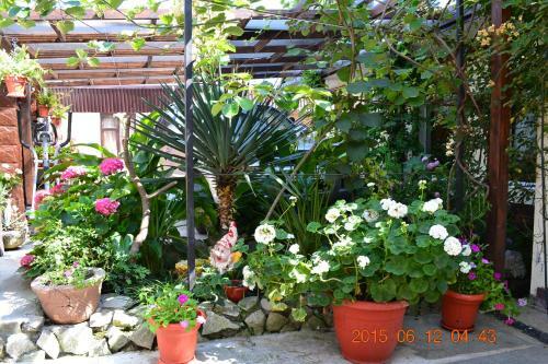 Hostal U Palycha Guest House