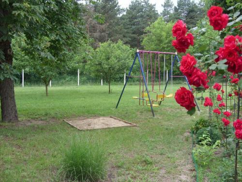 Apartamento Cinege Vend�gh�z