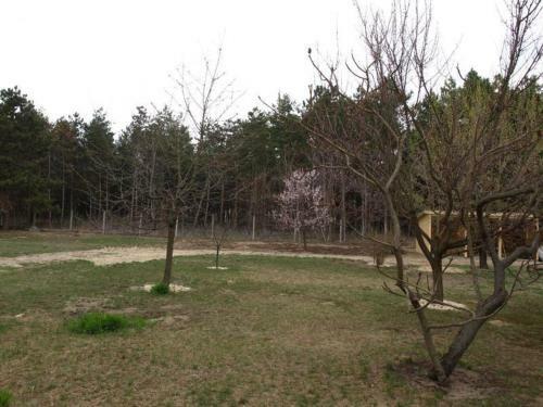 Apartamento Cinege Vend�gh�z