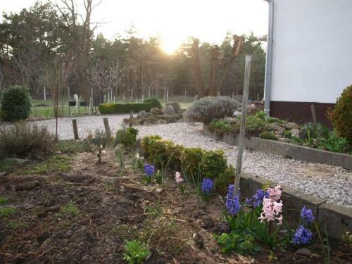 Apartamento Cinege Vend�gh�z