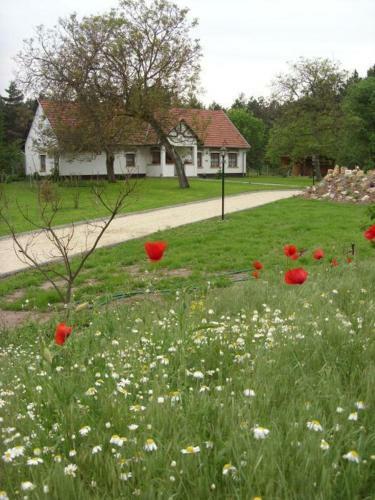 Apartamento Cinege Vend�gh�z