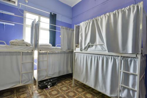 Roger�s Hostel Tel Aviv (age 18-45)