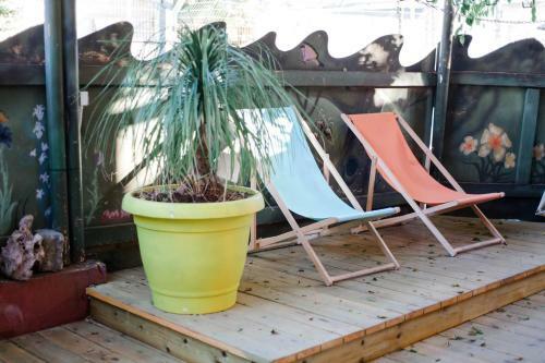 Roger�s Hostel Tel Aviv (age 18-45)