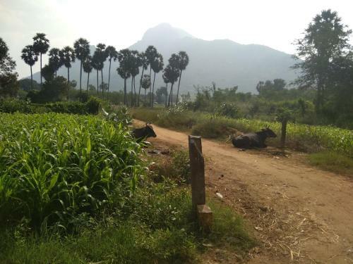 Apartamento Shanti Mountain View