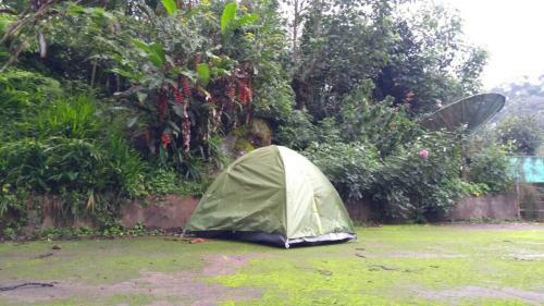 Hostal Weekender Homestay