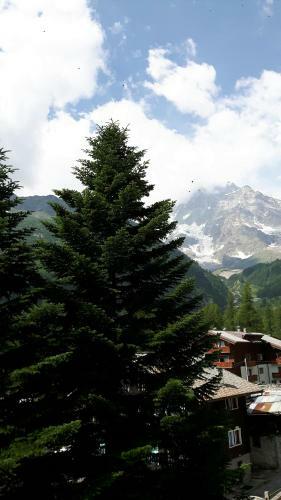 Hotel Casa Alpina De Filippi