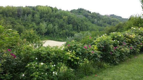 Bed & Breakfast Casa Rossa Monferrato