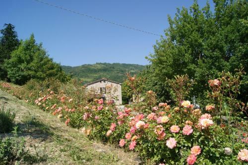 Agroturismo Agriturismo Corte Dei Mori