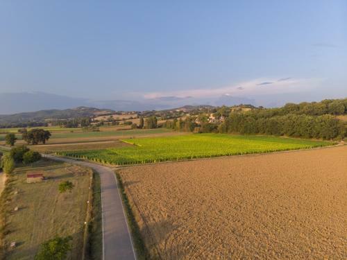 Agroturismo Borgo Pulciano Agriturismo