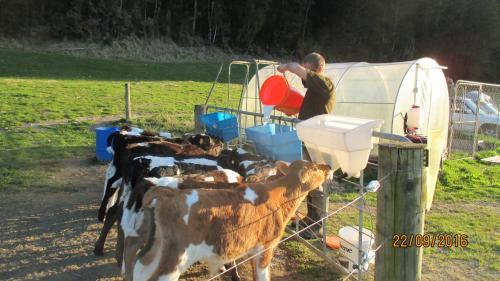 Ahaura Lodge & Waterwheel Farm
