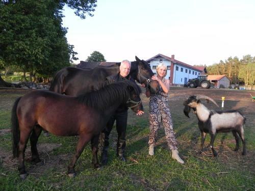 Agroturismo Gutshof Dragefeld