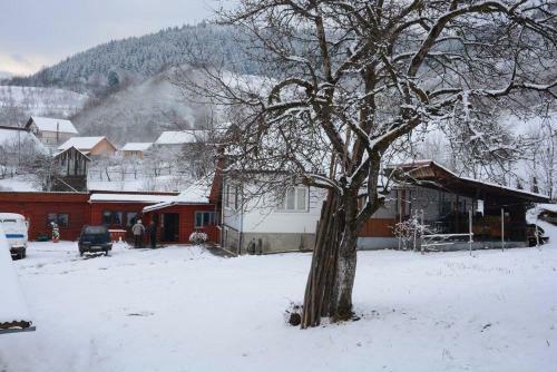 Hostal Pensiunea Fantana Rece