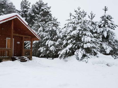 Hostal Guest House Konstantinova Usadba