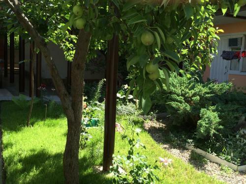 Hostal Guesthouse Novosolov