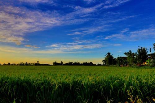 Siam Lanna Homestay