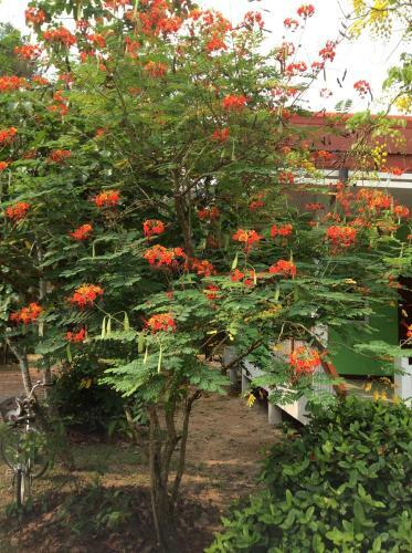 Hostal Pruksa Resort Prachin Buri