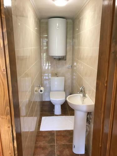Hotel Troyanda Karpat
