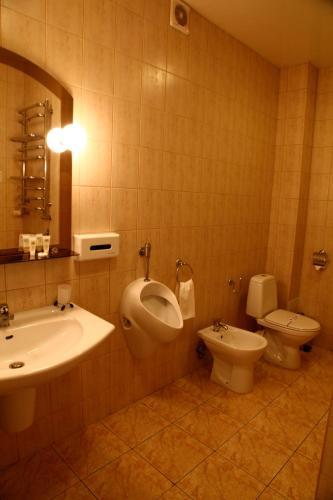 Hotel Zoloto Karpat